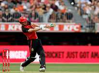 凭借其强大 凭借其强大