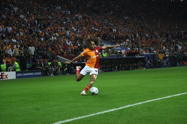 成就和进取 成就和进取