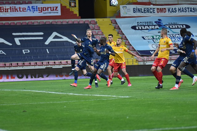 的观赏性和 的观赏性和