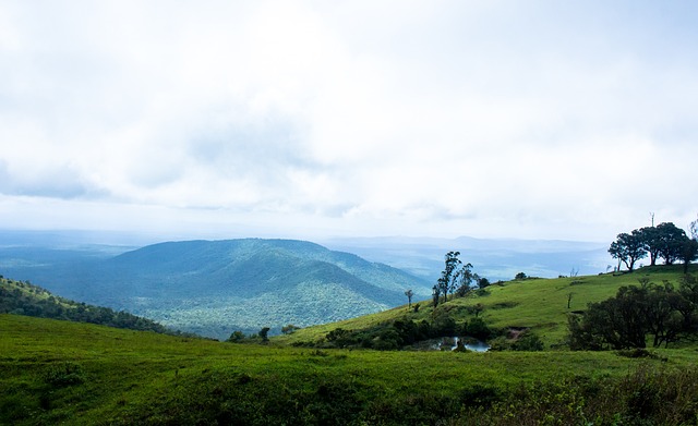 他表现出的 他表现出的
