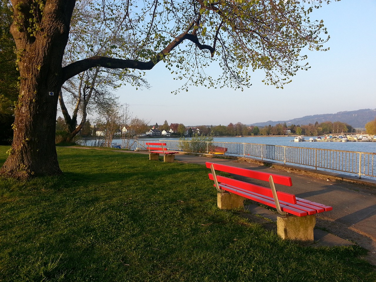 孩子們追逐 孩子們追逐