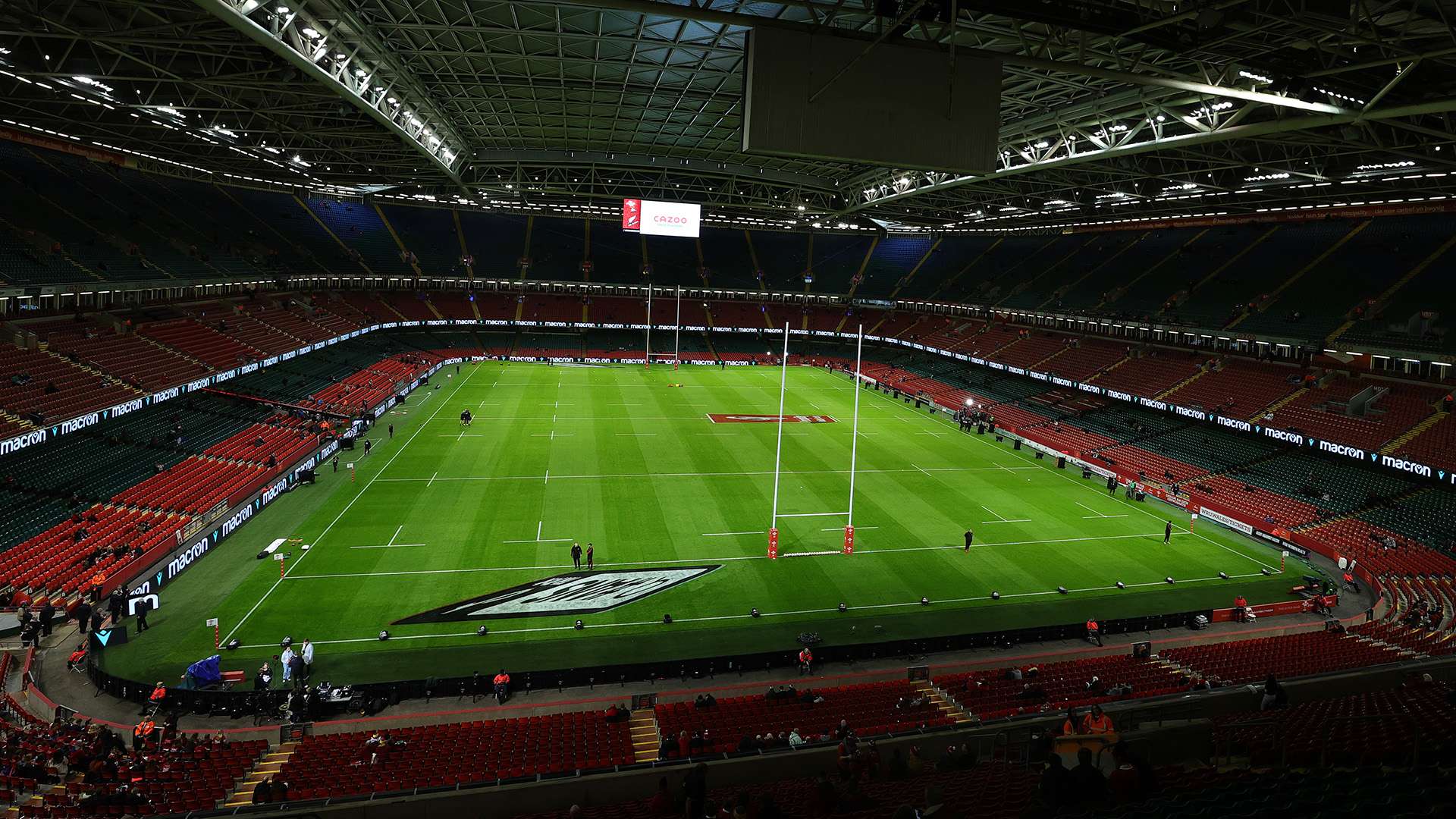 球星正在成 球星正在成